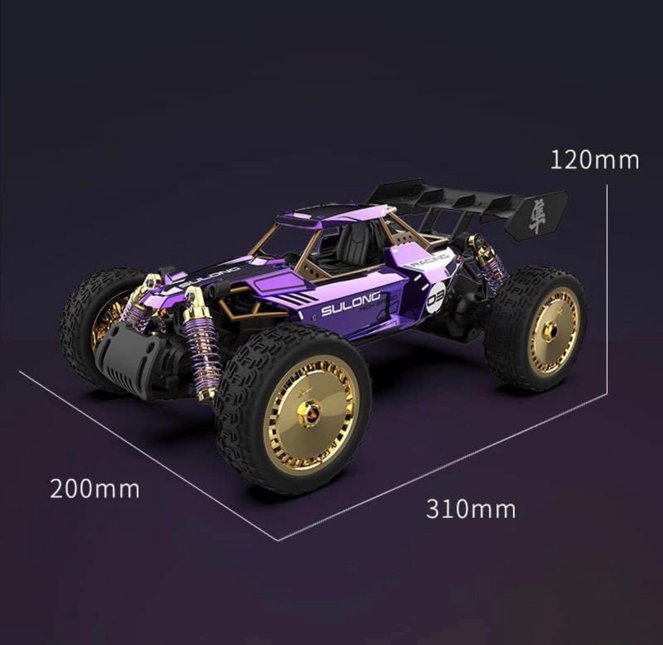 Premium offroad buggy
