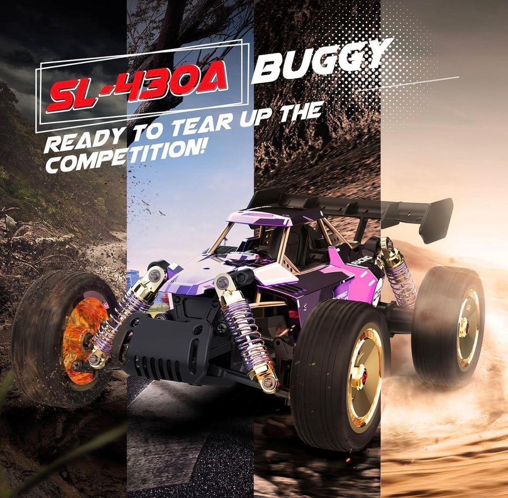 Premium offroad buggy